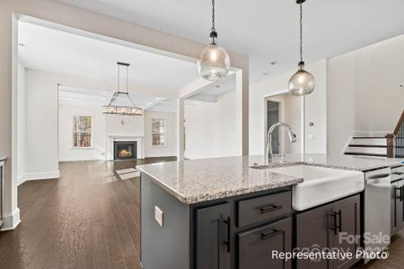 New construction Single-Family house 332 Triple Ponds Ct, Unit 22, Clover, SC 29710 - image 19