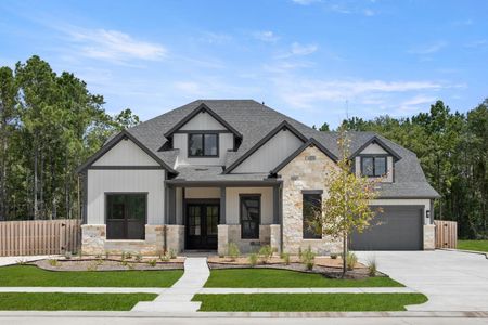 New construction Single-Family house 41811 Wendele Wy, Todd Mission, TX 77316 plan Brookdale II - image