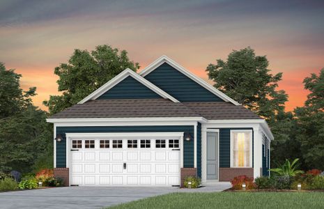 New construction Single-Family house 4169 Yellow Flag Iris St, Leland, NC 28479 plan Contour - image