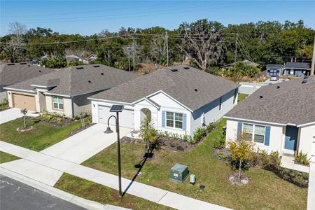 New construction Single-Family house 976 Bear Hammock Dr, Umatilla, FL 32784 plan ARIA - image