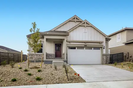 New construction Single-Family house 6168 Bream Pl, Loveland, CO 80538 plan Dolly - image