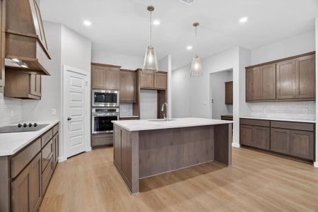 New construction Single-Family house 321 Skeen Peak, Springtown, TX 76082 - image 7