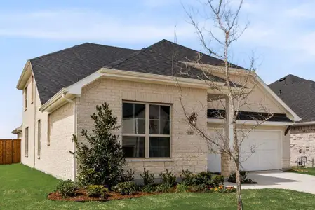 New construction Single-Family house 4100 Blackbird Ave, Little Elm, TX 75068 plan Jasmine - image