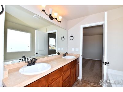 New construction Single-Family house 2369 Blissful Ln, Windsor, CO 80550 - photo 27 27