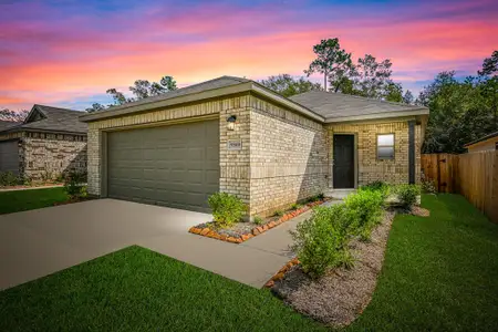 Caney Mills by Rausch Coleman Homes in Conroe - photo 3 3