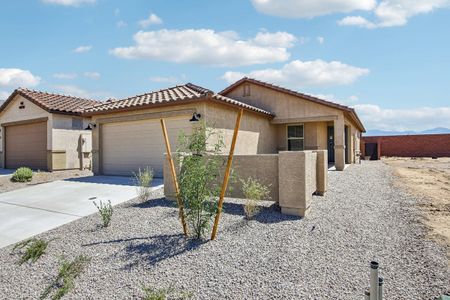 New construction Single-Family house 12382 N Bella Victoria Rd, Marana, AZ 85658 - image