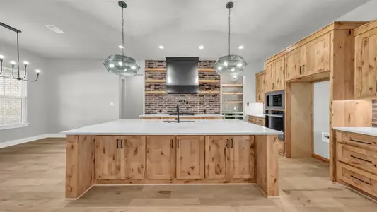 New construction Single-Family house 2101 Eagles Ridge Dr, Weatherford, TX 76087 - image 4
