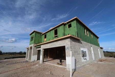 New construction Single-Family house 31222 Hayman Loop, Wesley Chapel, FL 33545 Windsor- photo 17 17