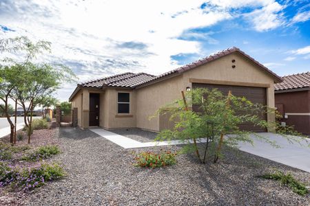New construction Single-Family house 12592 N Krista Ave, Marana, AZ 85653 - image