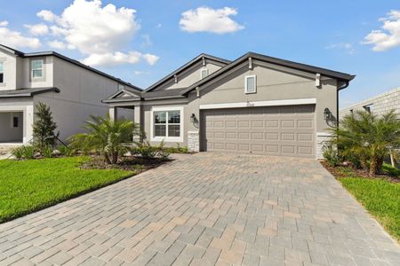 New construction Single-Family house 31229 Denham Ridge Ln, Wesley Chapel, FL 33545 Newport II- photo 175 175