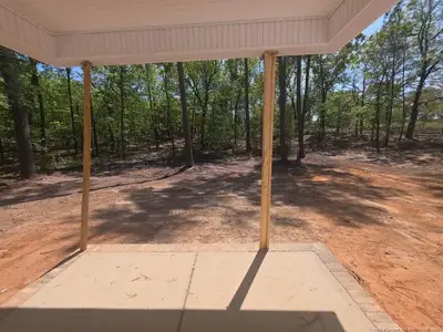 New construction Single-Family house 346 D L Phillips Ln, Broadway, NC 27505 - image