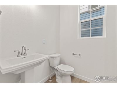 New construction Duplex house 155 Washington St, Erie, CO 80516 plan Villa Series Sassafras  - image 6