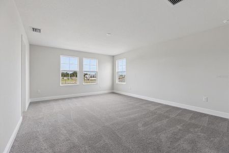 New construction Single-Family house 8517 Dove Bog Ter, Parrish, FL 34219 plan Kingfisher - image 19