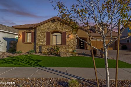 New construction Single-Family house 22932 E Oriole Wy, Queen Creek, AZ 85142 - image