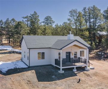 New construction Single-Family house 484 Due South Rd, Florissant, CO 80816 - image