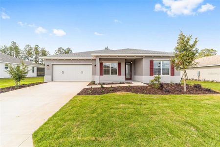 New construction Single-Family house 10710 Sw 104Th Pl, Ocala, FL 34481 - image