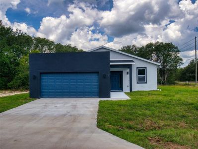 New construction Single-Family house 2 Guava Lane, Ocklawaha, FL 32179 - photo 0