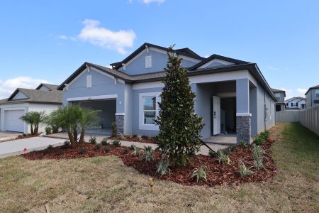 New construction Single-Family house 12182 Stirrup Dr, Dade City, FL 33525 plan Picasso Bonus - image