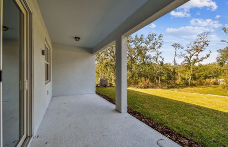 New construction Single-Family house 12620 Glenn Creek Dr, Riverview, FL 33569 Coral- photo 55 55