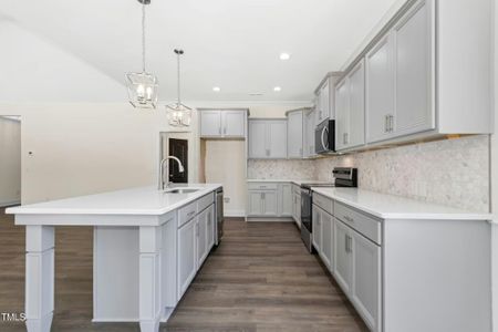 New construction Single-Family house 776 Shadetree Rd, Benson, NC 27504 - image 14