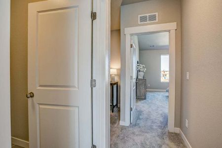 New construction Townhouse house 3425 Triano Creek Dr, Unit 101, Loveland, CO 80538 null- photo 38 38