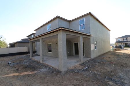 New construction Single-Family house 12134 Hilltop Farms Dr, Dade City, FL 33525 Malibu- photo 84 84