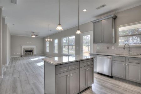 New construction Single-Family house 77 Elivia Way, Dallas, GA 30132 Jackson- photo 13 13