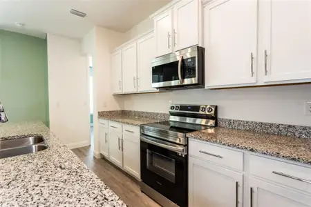 New construction Single-Family house 50 Folson Ln, Palm Coast, FL 32137 - image 6