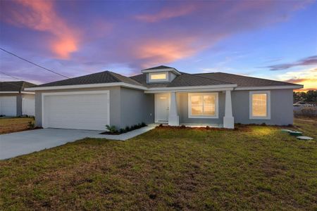 New construction Single-Family house 9 Chestnut Run, Ocala, FL 34480 - image
