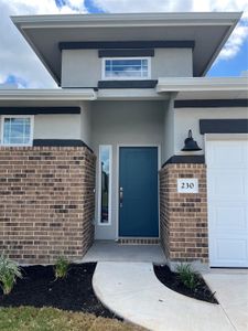 New construction Single-Family house 230 Revere Dr, Kyle, TX 78640 plan THE SPARROW - image 17