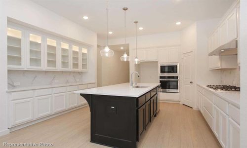 New construction Single-Family house 2414 Plumeria Ln, Celina, TX 75009 Panamera- photo 9 9