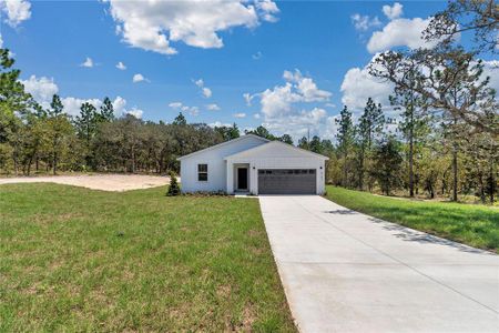 New construction Single-Family house 8787 SW 127th Ave, Dunnellon, FL 34432 - image