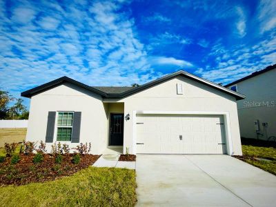 New construction Single-Family house 13454 Leaping Water Way, Astatula, FL 34705 null- photo 0