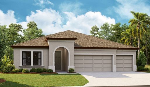 New construction Single-Family house 5379 Wolf Creek Dr, Apollo Beach, FL 33572 null- photo 2 2