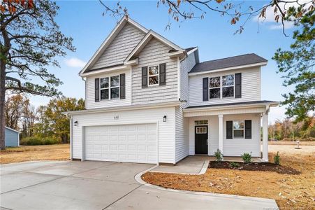 New construction Single-Family house 419 Delmore Rd, Autryville, NC 28318 - image
