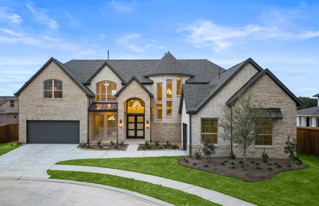 New construction Single-Family house 15408 Pinnacle Vistas Ln, Conroe, TX 77302 plan 4590 - image
