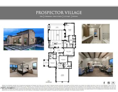 New construction Single-Family house 3149 S Prospector Cir, Gold Canyon, AZ 85118 null- photo 18 18