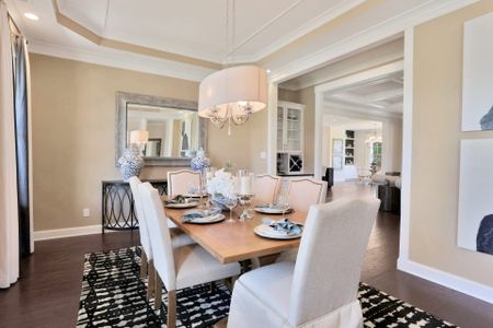 New construction Single-Family house 91 Ivy Ridge Rd, Chapel Hill, NC 27516 plan Buckingham - image 10