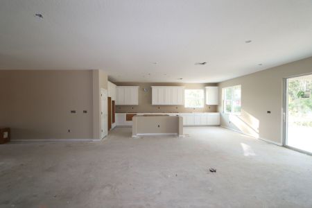 New construction Single-Family house 20219 Oriana Loop, Land O' Lakes, FL 34638 Corina  III- photo 6 6