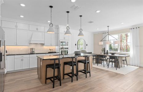 New construction Single-Family house 4116 Winding Pines Dr, Apopka, FL 32712 null- photo 5 5