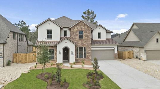 New construction Single-Family house 41734 Wendele Wy, Montgomery, TX 77316 plan Briggs - image