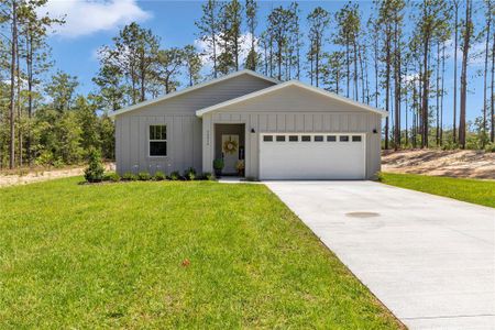 New construction Single-Family house 12212 Sw 90Th Pl, Dunnellon, FL 34432 - image
