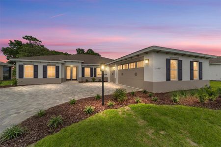 New construction Single-Family house 10787 Sw 96Th Ln, Ocala, FL 34481 - image