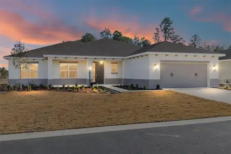New construction Single-Family house 10020 Sw 106Th Cir, Ocala, FL 34481 plan Aurelia - image