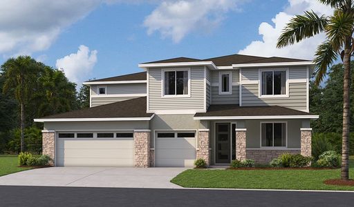 New construction Single-Family house 2029 Hammock Trace Dr, Parrish, FL 34219 plan Dillon II - image