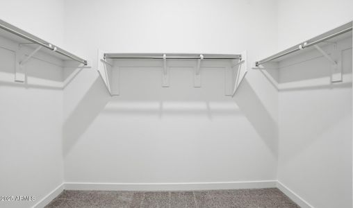 New construction Single-Family house 3860 S 234Th Ln, Buckeye, AZ 85326 plan Finlay - image 20