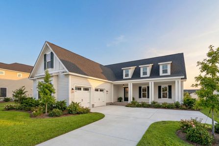 New construction Single-Family house 216 Carefree Wy, Summerville, SC 29486 plan Arrow Wood - image 10