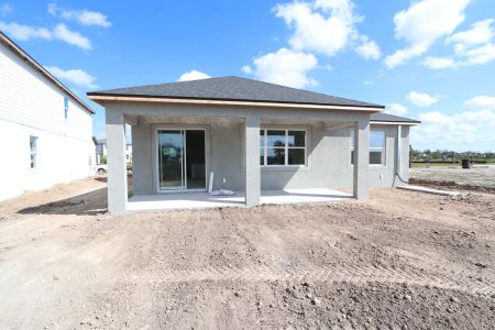 New construction Single-Family house 5691 Maydale Ave, Wesley Chapel, FL 33545 Santa Monica- photo 65 65