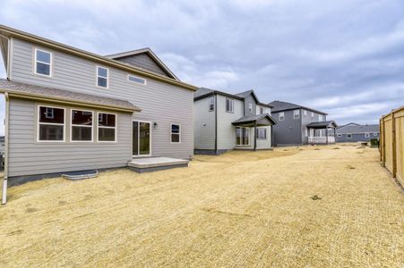 New construction Single-Family house 13791 Daffodil Wy, Parker, CO 80134 plan Braeburn - image 17