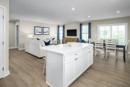 New construction Single-Family house 45 Boots Ridge Wy, Franklinton, NC 27525 plan Dominica Spring - image 8